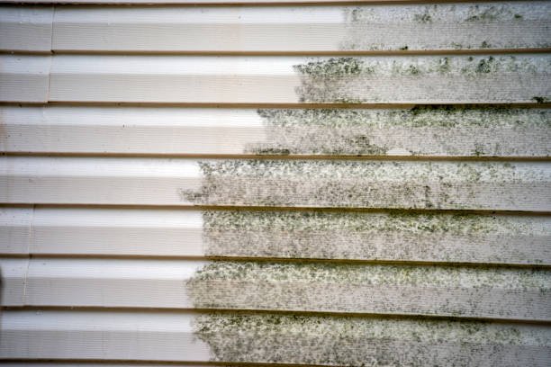 Best Residential Vinyl Siding Installation  in Fitzgerald, GA
